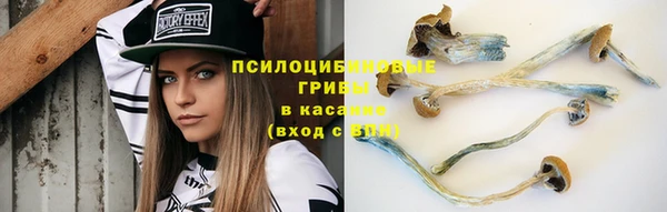мескалин Козловка