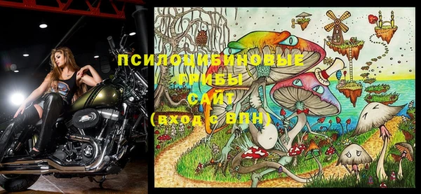 герыч Козельск