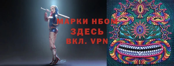 шишки Киренск
