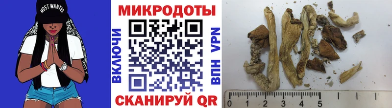 Псилоцибиновые грибы ЛСД Костерёво