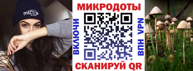 Псилоцибиновые грибы мицелий Костерёво